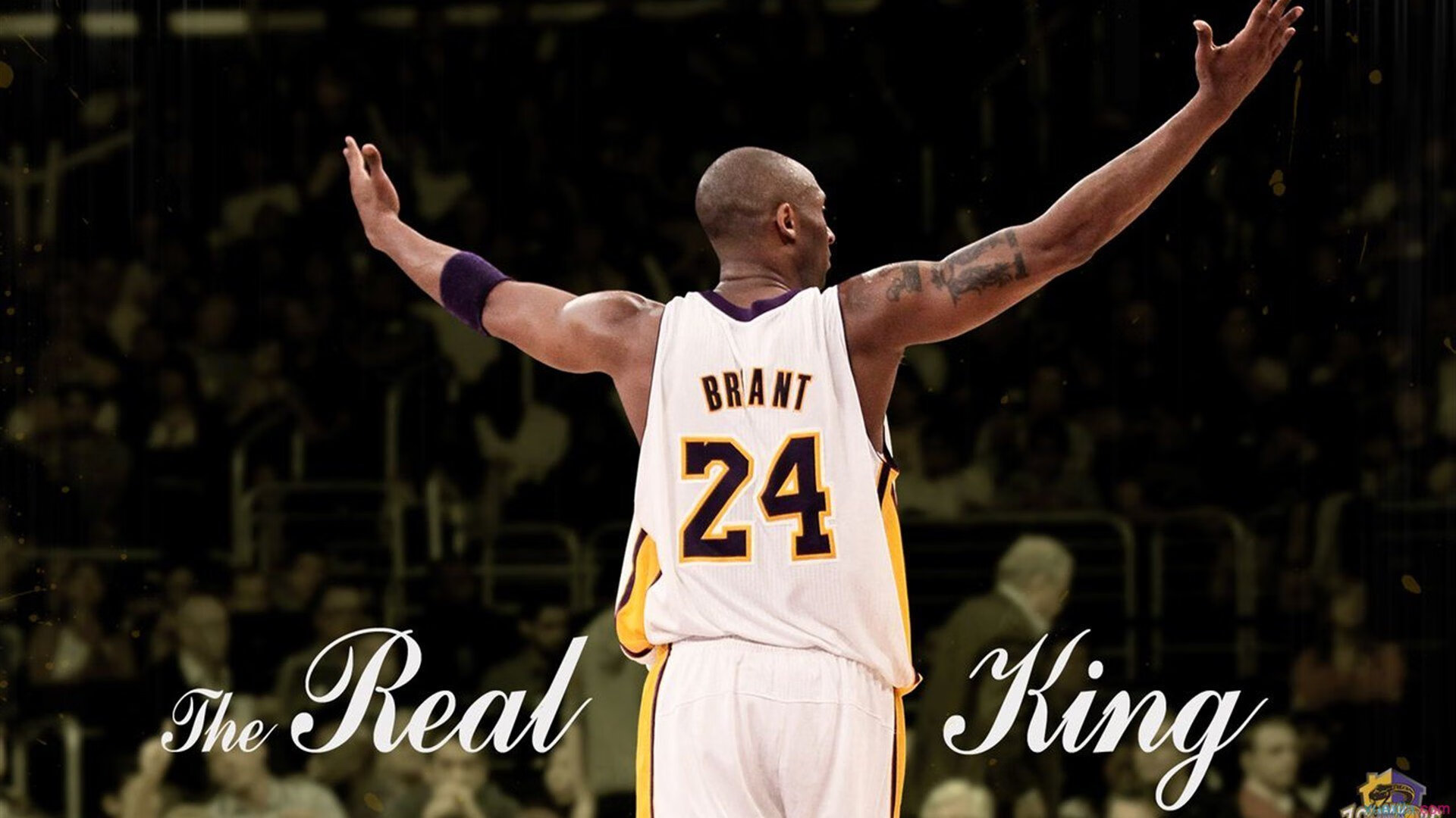 乒乓球“旋转极限挑战” 单局只记“擦网+边线”得分